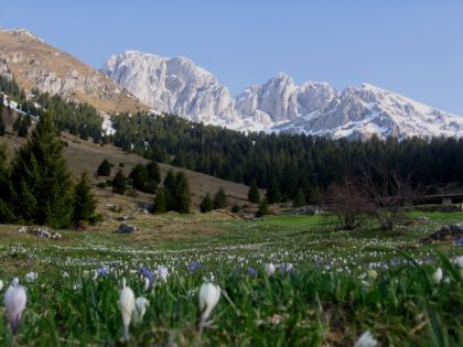 Immagine di Commissione per il paesaggio