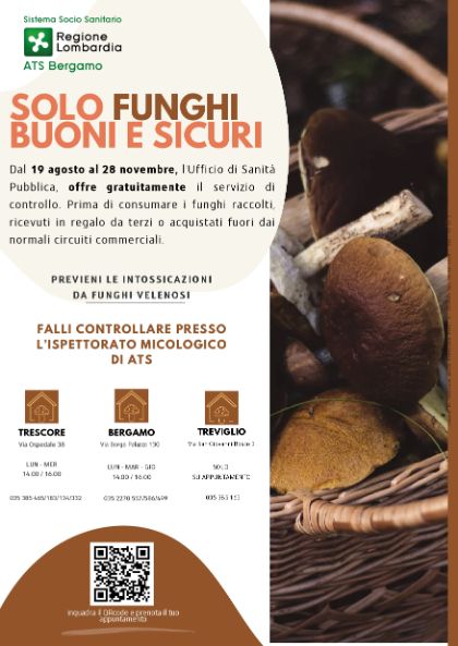 Solo funghi buoni e sicuri Solo funghi buoni e sicuri